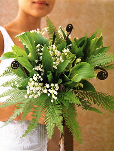 Green bridal bouquet - fern - weddings - flowers - foliage - no flowers